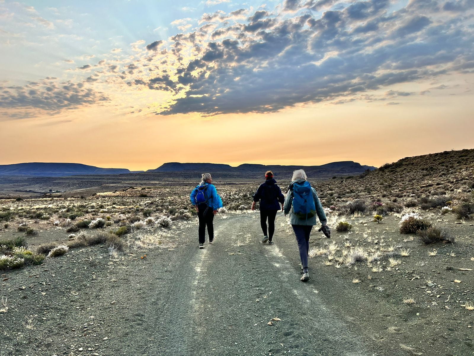 Desert Delights: driving and hiking tours at your own pace and design in the Karoo